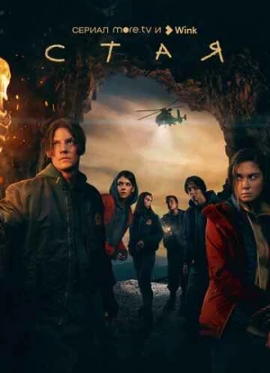 Стая сериал 2022 Стая сериал 2022